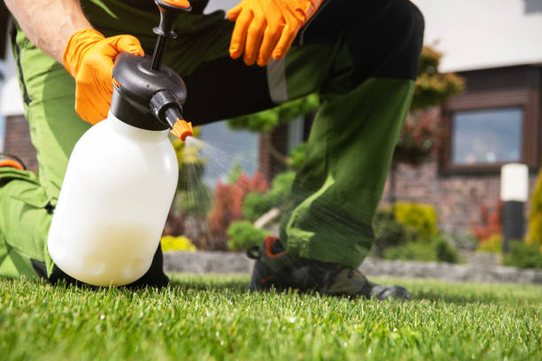 Best Pest Prevention Services  in Tanglewilde, WA
