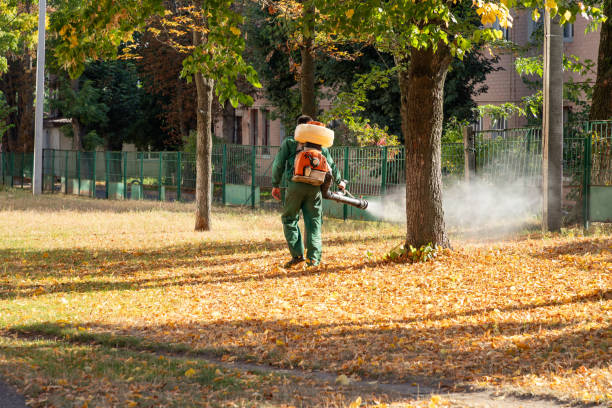Best Pest Removal Services  in Tanglewilde, WA